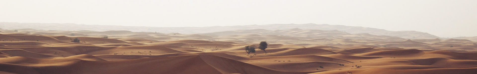 ɽպϢƼ޹˾